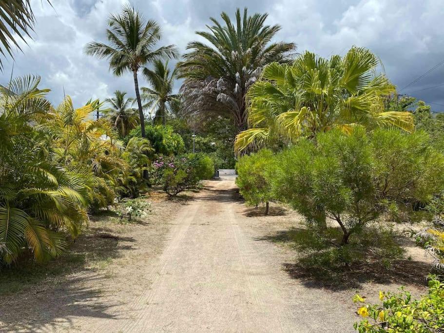 Villa Coco Des Sables Acces Direct Au Lagon La Saline Le Bains Buitenkant foto